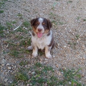 Meet your Posher, Brynn